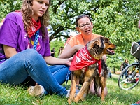 Adoptuj Warszawiaka  Kolejne wydarzenie promujące adopcję zwierząt zorganizowane przez pracowików i wolontariuszy Schroniska dla Bezdomnych Zwierząt "Na Paluchu".  Park Miejski w Piasecznie, 21 lipca 2019 r. : park miejski, piaseczno, na paluchu, schronisko dla zwierząt, adoptuj warszawiaka
