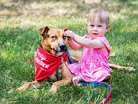 Adoptuj Warszawiaka  Kolejne wydarzenie promujące adopcję zwierząt zorganizowane przez pracowików i wolontariuszy Schroniska dla Bezdomnych Zwierząt "Na Paluchu".  Park Miejski w Piasecznie, 21 lipca 2019 r. : park miejski, piaseczno, na paluchu, schronisko dla zwierząt, adoptuj warszawiaka