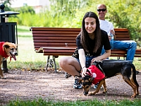 Adoptuj Warszawiaka  Kolejne wydarzenie promujące adopcję zwierząt zorganizowane przez pracowików i wolontariuszy Schroniska dla Bezdomnych Zwierząt "Na Paluchu".  Park Miejski w Piasecznie, 21 lipca 2019 r. : park miejski, piaseczno, na paluchu, schronisko dla zwierząt, adoptuj warszawiaka