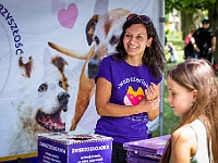 Adoptuj Warszawiaka  Kolejne wydarzenie promujące adopcję zwierząt zorganizowane przez pracowików i wolontariuszy Schroniska dla Bezdomnych Zwierząt "Na Paluchu".  Park Miejski w Piasecznie, 21 lipca 2019 r. : park miejski, piaseczno, na paluchu, schronisko dla zwierząt, adoptuj warszawiaka