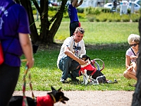 Adoptuj Warszawiaka  Kolejne wydarzenie promujące adopcję zwierząt zorganizowane przez pracowików i wolontariuszy Schroniska dla Bezdomnych Zwierząt "Na Paluchu".  Park Miejski w Piasecznie, 21 lipca 2019 r. : park miejski, piaseczno, na paluchu, schronisko dla zwierząt, adoptuj warszawiaka