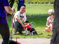 Adoptuj Warszawiaka  Kolejne wydarzenie promujące adopcję zwierząt zorganizowane przez pracowików i wolontariuszy Schroniska dla Bezdomnych Zwierząt "Na Paluchu".  Park Miejski w Piasecznie, 21 lipca 2019 r. : park miejski, piaseczno, na paluchu, schronisko dla zwierząt, adoptuj warszawiaka