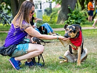Adoptuj Warszawiaka  Kolejne wydarzenie promujące adopcję zwierząt zorganizowane przez pracowików i wolontariuszy Schroniska dla Bezdomnych Zwierząt "Na Paluchu".  Park Miejski w Piasecznie, 21 lipca 2019 r. : park miejski, piaseczno, na paluchu, schronisko dla zwierząt, adoptuj warszawiaka
