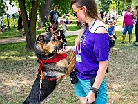 Adoptuj Warszawiaka  Kolejne wydarzenie promujące adopcję zwierząt zorganizowane przez pracowików i wolontariuszy Schroniska dla Bezdomnych Zwierząt "Na Paluchu".  Park Miejski w Piasecznie, 21 lipca 2019 r. : park miejski, piaseczno, na paluchu, schronisko dla zwierząt, adoptuj warszawiaka