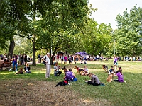 Adoptuj Warszawiaka  Kolejne wydarzenie promujące adopcję zwierząt zorganizowane przez pracowików i wolontariuszy Schroniska dla Bezdomnych Zwierząt "Na Paluchu".  Park Miejski w Piasecznie, 21 lipca 2019 r. : park miejski, piaseczno, na paluchu, schronisko dla zwierząt, adoptuj warszawiaka