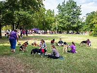 Adoptuj Warszawiaka  Kolejne wydarzenie promujące adopcję zwierząt zorganizowane przez pracowików i wolontariuszy Schroniska dla Bezdomnych Zwierząt "Na Paluchu".  Park Miejski w Piasecznie, 21 lipca 2019 r. : park miejski, piaseczno, na paluchu, schronisko dla zwierząt, adoptuj warszawiaka