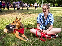 Adoptuj Warszawiaka  Kolejne wydarzenie promujące adopcję zwierząt zorganizowane przez pracowików i wolontariuszy Schroniska dla Bezdomnych Zwierząt "Na Paluchu".  Park Miejski w Piasecznie, 21 lipca 2019 r. : park miejski, piaseczno, na paluchu, schronisko dla zwierząt, adoptuj warszawiaka