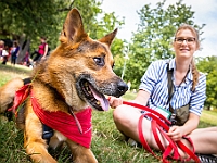 Adoptuj Warszawiaka  Kolejne wydarzenie promujące adopcję zwierząt zorganizowane przez pracowików i wolontariuszy Schroniska dla Bezdomnych Zwierząt "Na Paluchu".  Park Miejski w Piasecznie, 21 lipca 2019 r. : park miejski, piaseczno, na paluchu, schronisko dla zwierząt, adoptuj warszawiaka