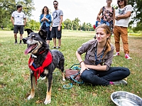Adoptuj Warszawiaka  Kolejne wydarzenie promujące adopcję zwierząt zorganizowane przez pracowików i wolontariuszy Schroniska dla Bezdomnych Zwierząt "Na Paluchu".  Park Miejski w Piasecznie, 21 lipca 2019 r. : park miejski, piaseczno, na paluchu, schronisko dla zwierząt, adoptuj warszawiaka