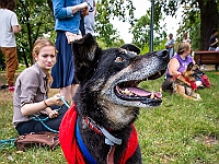 Adoptuj Warszawiaka  Kolejne wydarzenie promujące adopcję zwierząt zorganizowane przez pracowików i wolontariuszy Schroniska dla Bezdomnych Zwierząt "Na Paluchu".  Park Miejski w Piasecznie, 21 lipca 2019 r. : park miejski, piaseczno, na paluchu, schronisko dla zwierząt, adoptuj warszawiaka