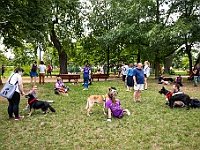 Adoptuj Warszawiaka  Kolejne wydarzenie promujące adopcję zwierząt zorganizowane przez pracowików i wolontariuszy Schroniska dla Bezdomnych Zwierząt "Na Paluchu".  Park Miejski w Piasecznie, 21 lipca 2019 r. : park miejski, piaseczno, na paluchu, schronisko dla zwierząt, adoptuj warszawiaka