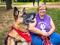 Adoptuj Warszawiaka  Kolejne wydarzenie promujące adopcję zwierząt zorganizowane przez pracowików i wolontariuszy Schroniska dla Bezdomnych Zwierząt "Na Paluchu".  Park Miejski w Piasecznie, 21 lipca 2019 r. : park miejski, piaseczno, na paluchu, schronisko dla zwierząt, adoptuj warszawiaka
