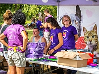 Adoptuj Warszawiaka  Kolejne wydarzenie promujące adopcję zwierząt zorganizowane przez pracowików i wolontariuszy Schroniska dla Bezdomnych Zwierząt "Na Paluchu".  Park Miejski w Piasecznie, 21 lipca 2019 r. : park miejski, piaseczno, na paluchu, schronisko dla zwierząt, adoptuj warszawiaka