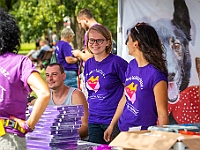 Adoptuj Warszawiaka  Kolejne wydarzenie promujące adopcję zwierząt zorganizowane przez pracowików i wolontariuszy Schroniska dla Bezdomnych Zwierząt "Na Paluchu".  Park Miejski w Piasecznie, 21 lipca 2019 r. : park miejski, piaseczno, na paluchu, schronisko dla zwierząt, adoptuj warszawiaka