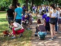 Adoptuj Warszawiaka  Kolejne wydarzenie promujące adopcję zwierząt zorganizowane przez pracowików i wolontariuszy Schroniska dla Bezdomnych Zwierząt "Na Paluchu".  Park Miejski w Piasecznie, 21 lipca 2019 r. : park miejski, piaseczno, na paluchu, schronisko dla zwierząt, adoptuj warszawiaka