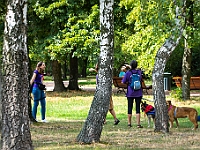Adoptuj Warszawiaka  Kolejne wydarzenie promujące adopcję zwierząt zorganizowane przez pracowików i wolontariuszy Schroniska dla Bezdomnych Zwierząt "Na Paluchu".  Park Miejski w Piasecznie, 21 lipca 2019 r. : park miejski, piaseczno, na paluchu, schronisko dla zwierząt, adoptuj warszawiaka