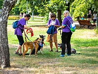 Adoptuj Warszawiaka  Kolejne wydarzenie promujące adopcję zwierząt zorganizowane przez pracowików i wolontariuszy Schroniska dla Bezdomnych Zwierząt "Na Paluchu".  Park Miejski w Piasecznie, 21 lipca 2019 r. : park miejski, piaseczno, na paluchu, schronisko dla zwierząt, adoptuj warszawiaka