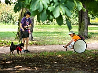 Adoptuj Warszawiaka  Kolejne wydarzenie promujące adopcję zwierząt zorganizowane przez pracowików i wolontariuszy Schroniska dla Bezdomnych Zwierząt "Na Paluchu".  Park Miejski w Piasecznie, 21 lipca 2019 r. : park miejski, piaseczno, na paluchu, schronisko dla zwierząt, adoptuj warszawiaka