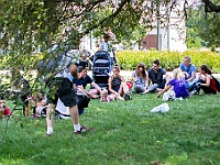 Adoptuj Warszawiaka  Kolejne wydarzenie promujące adopcję zwierząt zorganizowane przez pracowików i wolontariuszy Schroniska dla Bezdomnych Zwierząt "Na Paluchu".  Park Miejski w Piasecznie, 21 lipca 2019 r. : park miejski, piaseczno, na paluchu, schronisko dla zwierząt, adoptuj warszawiaka