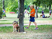 Adoptuj Warszawiaka  Kolejne wydarzenie promujące adopcję zwierząt zorganizowane przez pracowików i wolontariuszy Schroniska dla Bezdomnych Zwierząt "Na Paluchu".  Park Miejski w Piasecznie, 21 lipca 2019 r. : park miejski, piaseczno, na paluchu, schronisko dla zwierząt, adoptuj warszawiaka