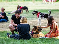 Adoptuj Warszawiaka  Kolejne wydarzenie promujące adopcję zwierząt zorganizowane przez pracowików i wolontariuszy Schroniska dla Bezdomnych Zwierząt "Na Paluchu".  Park Miejski w Piasecznie, 21 lipca 2019 r. : park miejski, piaseczno, na paluchu, schronisko dla zwierząt, adoptuj warszawiaka
