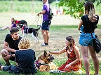 Adoptuj Warszawiaka  Kolejne wydarzenie promujące adopcję zwierząt zorganizowane przez pracowików i wolontariuszy Schroniska dla Bezdomnych Zwierząt "Na Paluchu".  Park Miejski w Piasecznie, 21 lipca 2019 r. : park miejski, piaseczno, na paluchu, schronisko dla zwierząt, adoptuj warszawiaka