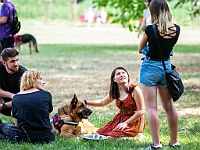 Adoptuj Warszawiaka  Kolejne wydarzenie promujące adopcję zwierząt zorganizowane przez pracowików i wolontariuszy Schroniska dla Bezdomnych Zwierząt "Na Paluchu".  Park Miejski w Piasecznie, 21 lipca 2019 r. : park miejski, piaseczno, na paluchu, schronisko dla zwierząt, adoptuj warszawiaka