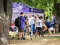 Adoptuj Warszawiaka  Kolejne wydarzenie promujące adopcję zwierząt zorganizowane przez pracowików i wolontariuszy Schroniska dla Bezdomnych Zwierząt "Na Paluchu".  Park Miejski w Piasecznie, 21 lipca 2019 r. : park miejski, piaseczno, na paluchu, schronisko dla zwierząt, adoptuj warszawiaka