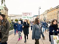 Marsz Kundelków  27 października 2018 r. Marsz Kundelków ulicami Starego Miasta w Warszawie. Organizator - Schronisko dla Bezdomnych Zwierząt "Na Paluchu". : marsz kundelków, schronisko dla bezdomnych zwierząt, na paluchu, wybory kundelka, adopcja zwierząt, adoptuj warszawiaka
