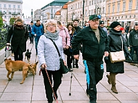 Marsz Kundelków  27 października 2018 r. Marsz Kundelków ulicami Starego Miasta w Warszawie. Organizator - Schronisko dla Bezdomnych Zwierząt "Na Paluchu". : marsz kundelków, schronisko dla bezdomnych zwierząt, na paluchu, wybory kundelka, adopcja zwierząt, adoptuj warszawiaka