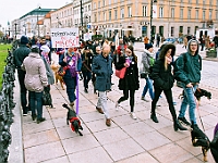 Marsz Kundelków  27 października 2018 r. Marsz Kundelków ulicami Starego Miasta w Warszawie. Organizator - Schronisko dla Bezdomnych Zwierząt "Na Paluchu". : marsz kundelków, schronisko dla bezdomnych zwierząt, na paluchu, wybory kundelka, adopcja zwierząt, adoptuj warszawiaka