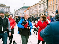 Marsz Kundelków  27 października 2018 r. Marsz Kundelków ulicami Starego Miasta w Warszawie. Organizator - Schronisko dla Bezdomnych Zwierząt "Na Paluchu". : marsz kundelków, schronisko dla bezdomnych zwierząt, na paluchu, wybory kundelka, adopcja zwierząt, adoptuj warszawiaka