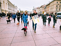 Marsz Kundelków  27 października 2018 r. Marsz Kundelków ulicami Starego Miasta w Warszawie. Organizator - Schronisko dla Bezdomnych Zwierząt "Na Paluchu". : marsz kundelków, schronisko dla bezdomnych zwierząt, na paluchu, wybory kundelka, adopcja zwierząt, adoptuj warszawiaka