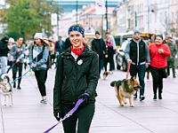 Marsz Kundelków  27 października 2018 r. Marsz Kundelków ulicami Starego Miasta w Warszawie. Organizator - Schronisko dla Bezdomnych Zwierząt "Na Paluchu". : marsz kundelków, schronisko dla bezdomnych zwierząt, na paluchu, wybory kundelka, adopcja zwierząt, adoptuj warszawiaka