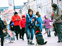 Marsz Kundelków  27 października 2018 r. Marsz Kundelków ulicami Starego Miasta w Warszawie. Organizator - Schronisko dla Bezdomnych Zwierząt "Na Paluchu". : marsz kundelków, schronisko dla bezdomnych zwierząt, na paluchu, wybory kundelka, adopcja zwierząt, adoptuj warszawiaka