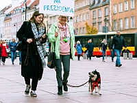 Marsz Kundelków  27 października 2018 r. Marsz Kundelków ulicami Starego Miasta w Warszawie. Organizator - Schronisko dla Bezdomnych Zwierząt "Na Paluchu". : marsz kundelków, schronisko dla bezdomnych zwierząt, na paluchu, wybory kundelka, adopcja zwierząt, adoptuj warszawiaka