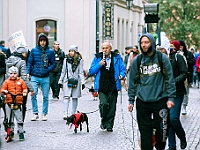 Marsz Kundelków  27 października 2018 r. Marsz Kundelków ulicami Starego Miasta w Warszawie. Organizator - Schronisko dla Bezdomnych Zwierząt "Na Paluchu". : marsz kundelków, schronisko dla bezdomnych zwierząt, na paluchu, wybory kundelka, adopcja zwierząt, adoptuj warszawiaka