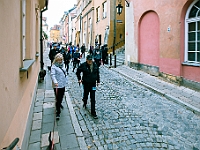 Marsz Kundelków  27 października 2018 r. Marsz Kundelków ulicami Starego Miasta w Warszawie. Organizator - Schronisko dla Bezdomnych Zwierząt "Na Paluchu". : marsz kundelków, schronisko dla bezdomnych zwierząt, na paluchu, wybory kundelka, adopcja zwierząt, adoptuj warszawiaka