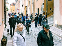 Marsz Kundelków  27 października 2018 r. Marsz Kundelków ulicami Starego Miasta w Warszawie. Organizator - Schronisko dla Bezdomnych Zwierząt "Na Paluchu". : marsz kundelków, schronisko dla bezdomnych zwierząt, na paluchu, wybory kundelka, adopcja zwierząt, adoptuj warszawiaka