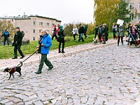 Marsz Kundelków  27 października 2018 r. Marsz Kundelków ulicami Starego Miasta w Warszawie. Organizator - Schronisko dla Bezdomnych Zwierząt "Na Paluchu". : marsz kundelków, schronisko dla bezdomnych zwierząt, na paluchu, wybory kundelka, adopcja zwierząt, adoptuj warszawiaka