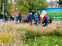 Marsz Kundelków  27 października 2018 r. Marsz Kundelków ulicami Starego Miasta w Warszawie. Organizator - Schronisko dla Bezdomnych Zwierząt "Na Paluchu". : marsz kundelków, schronisko dla bezdomnych zwierząt, na paluchu, wybory kundelka, adopcja zwierząt, adoptuj warszawiaka