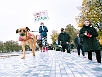 Marsz Kundelków  27 października 2018 r. Marsz Kundelków ulicami Starego Miasta w Warszawie. Organizator - Schronisko dla Bezdomnych Zwierząt "Na Paluchu". : marsz kundelków, schronisko dla bezdomnych zwierząt, na paluchu, wybory kundelka, adopcja zwierząt, adoptuj warszawiaka