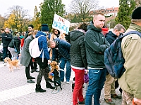 Marsz Kundelków  27 października 2018 r. Marsz Kundelków ulicami Starego Miasta w Warszawie. Organizator - Schronisko dla Bezdomnych Zwierząt "Na Paluchu". : marsz kundelków, schronisko dla bezdomnych zwierząt, na paluchu, wybory kundelka, adopcja zwierząt, adoptuj warszawiaka