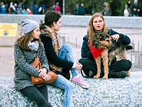Marsz Kundelków  27 października 2018 r. Marsz Kundelków ulicami Starego Miasta w Warszawie. Organizator - Schronisko dla Bezdomnych Zwierząt "Na Paluchu". : marsz kundelków, schronisko dla bezdomnych zwierząt, na paluchu, wybory kundelka, adopcja zwierząt, adoptuj warszawiaka