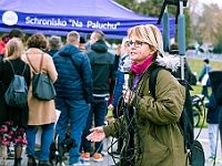 Marsz Kundelków  27 października 2018 r. Marsz Kundelków ulicami Starego Miasta w Warszawie. Organizator - Schronisko dla Bezdomnych Zwierząt "Na Paluchu". : marsz kundelków, schronisko dla bezdomnych zwierząt, na paluchu, wybory kundelka, adopcja zwierząt, adoptuj warszawiaka
