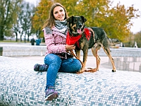 Marsz Kundelków  27 października 2018 r. Marsz Kundelków ulicami Starego Miasta w Warszawie. Organizator - Schronisko dla Bezdomnych Zwierząt "Na Paluchu". : marsz kundelków, schronisko dla bezdomnych zwierząt, na paluchu, wybory kundelka, adopcja zwierząt, adoptuj warszawiaka