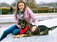 Marsz Kundelków  27 października 2018 r. Marsz Kundelków ulicami Starego Miasta w Warszawie. Organizator - Schronisko dla Bezdomnych Zwierząt "Na Paluchu". : marsz kundelków, schronisko dla bezdomnych zwierząt, na paluchu, wybory kundelka, adopcja zwierząt, adoptuj warszawiaka