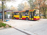 Na Paluchu jesienią  Schronisko dla Bezdomnych Zwierząt "Na Paluchu" w Warszawie. Jesień 2018 : na paluchu, schronisko dla bezdomnych zwierząt, jesień w schronisku, bezdomne zwierzęta, na skraju