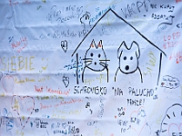Na Paluchu jesienią  Schronisko dla Bezdomnych Zwierząt "Na Paluchu" w Warszawie. Jesień 2018 : na paluchu, schronisko dla bezdomnych zwierząt, jesień w schronisku, bezdomne zwierzęta, na skraju