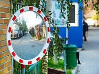 Na Paluchu jesienią  Schronisko dla Bezdomnych Zwierząt "Na Paluchu" w Warszawie. Jesień 2018 : na paluchu, schronisko dla bezdomnych zwierząt, jesień w schronisku, bezdomne zwierzęta, na skraju